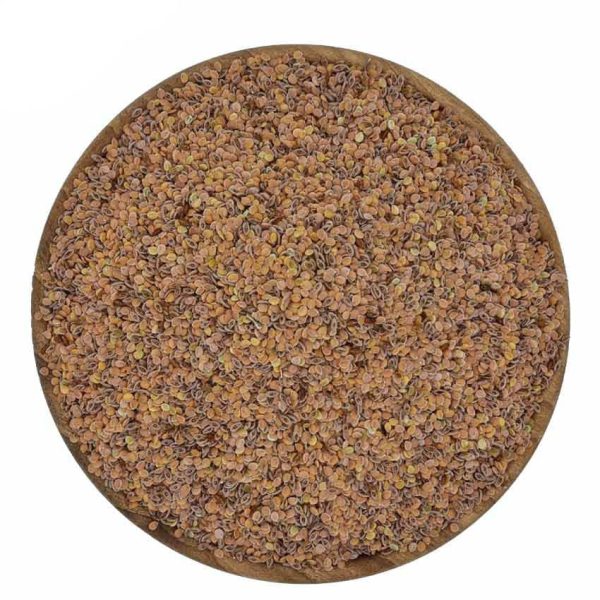قدومه شیرازی - Image 1