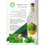 عرق نعناع دو آتشه 1 لیتری گل افشان - Image 2
