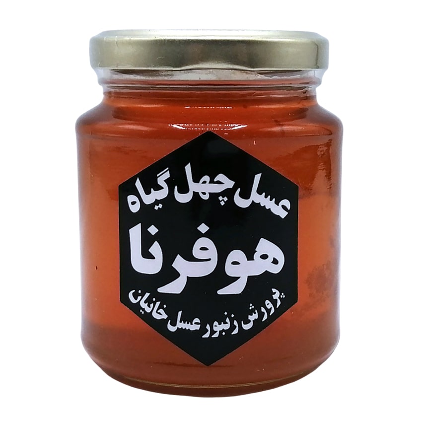 عسل چهل گیاه 400 گرم هوفرنا عسل چهل گیاه 400 گرم هوفرنا - Image 1